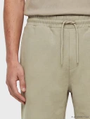 LCW Vision Bej Regular Fit Erkek Şort thumbnail 3