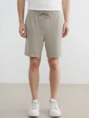 LCW Vision Bej Regular Fit Erkek Şort thumbnail 2