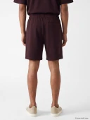 LCW Vision Mürdüm Regular Fit Erkek Şort thumbnail 4