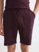 LCWAIKIKI Classic Mürdüm Regular Fit Erkek Şort thumbnail 3