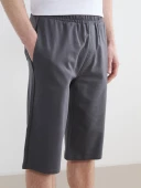 LCWAIKIKI Classic Gri Regular Fit Erkek Şort thumbnail 3