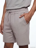 LCW Vision Gri Regular Fit Erkek Şort thumbnail 3