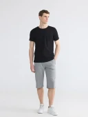 LCWAIKIKI Classic Gri Regular Fit Erkek Şort thumbnail 1
