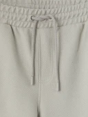 LCWAIKIKI Classic Bej Regular Fit Erkek Şort thumbnail 6