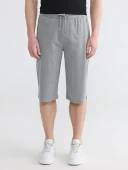 LCWAIKIKI Classic Gri Regular Fit Erkek Şort thumbnail 2