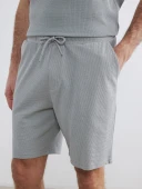 LCWAIKIKI Classic Gri Regular Fit Erkek Şort thumbnail 3