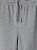 LCW Vision Gri Regular Fit Erkek Şort thumbnail 2