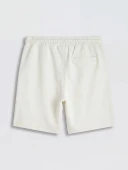 LCW Vision Gri Regular Fit Soft Touch Erkek Şort thumbnail 5