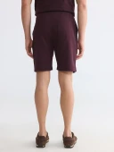 LCWAIKIKI Classic Mürdüm Regular Fit Erkek Şort thumbnail 4