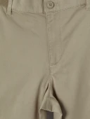 LCWAIKIKI Classic Bej Regular Fit Erkek Şort thumbnail 2