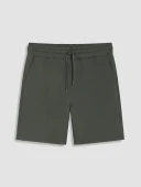 LCW Vision Haki Regular Fit Erkek Şort thumbnail 5