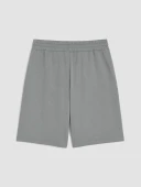 LCWAIKIKI Classic Gri Regular Fit Erkek Şort thumbnail 3
