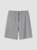 LCW Vision Gri Regular Fit Erkek Şort thumbnail 1