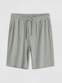 LCWAIKIKI Classic Gri Regular Fit Erkek Şort thumbnail 5