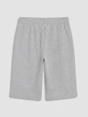 LCWAIKIKI Classic Gri Regular Fit Erkek Şort thumbnail 6