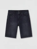 LCW Jeans Antrasit Regular Fit Erkek Jean Şort thumbnail 5