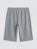 LCWAIKIKI Classic Gri Regular Fit Erkek Şort thumbnail 6