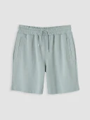 LCWAIKIKI Classic Yeşil Regular Fit Erkek Şort thumbnail 2