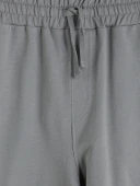 LCWAIKIKI Classic Gri Regular Fit Erkek Şort thumbnail 2