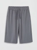 LCWAIKIKI Classic Gri Regular Fit Erkek Şort thumbnail 5