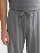 LCWAIKIKI Classic Gri Regular Fit Erkek Şort thumbnail 3