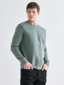 LCWAIKIKI Basic Yeşil Bisiklet Yaka Erkek Kalın Sweatshirt thumbnail 1