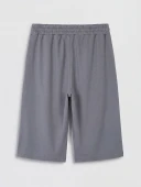 LCWAIKIKI Classic Gri Regular Fit Erkek Şort thumbnail 6