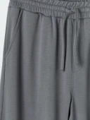 LCWAIKIKI Classic Gri Regular Fit Erkek Şort thumbnail 7