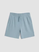 LCW Vision Mavi Regular Fit Erkek Şort thumbnail 1