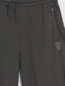 LCWAIKIKI Classic Antrasit Regular Fit Erkek Şort thumbnail 3