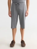 LCWAIKIKI Classic Gri Regular Fit Erkek Şort thumbnail 2