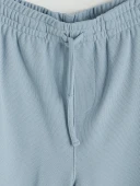 LCW Vision Mavi Regular Fit Erkek Şort thumbnail 3