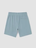 LCW Vision Mavi Regular Fit Erkek Şort thumbnail 2