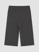 LCWAIKIKI Classic Antrasit Regular Fit Erkek Şort thumbnail 2