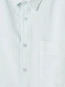 LCW Vision Mavi Regular Fit Erkek Gömlek thumbnail 6