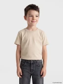 LCW Kids Bej Basic Erkek Çocuk Tişört thumbnail 1