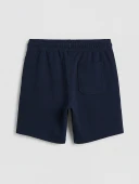 LCW Vision Lacivert Regular Fit Pike Erkek Şort thumbnail 4