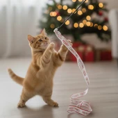 Yılbaşı Temalı Kedi Oyun Oltası thumbnail 1
