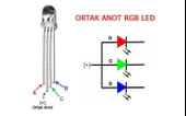 5 adet 5mm RGB Led (Ortak Anot) thumbnail 3