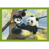 Clementoni Baby Cuddles Puzzle 4 in1 thumbnail 2