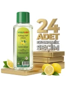Worldchem Limon Kolonyası 24x250 Ml thumbnail 2