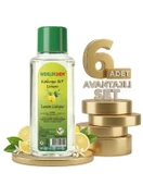 Worldchem Limon Kolonyası 6x250 Ml thumbnail 2