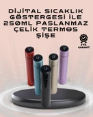 250ml Led Ekranlı Paslanmaz Çelik Akıllı Termos thumbnail 1