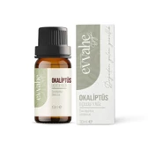 Okaliptus Yağı (10 ml) thumbnail 1
