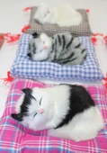 Yastıkta Uyuyan Kedi Sesli Alk25 thumbnail 2