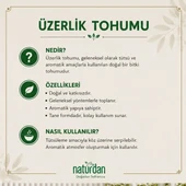 Üzerlik Tohumu 1 kg thumbnail 3