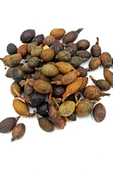 Defne Tohumu 1 Kg thumbnail 3