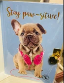 STUDİO PETS kilitli hatıra def.KÖPEKLİ-MAVİ thumbnail 3