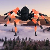 Halloween Örümcek Figür 50 Cm Siyah-Turuncu thumbnail 5