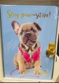 STUDİO PETS kilitli hatıra def.KÖPEKLİ-MAVİ thumbnail 1